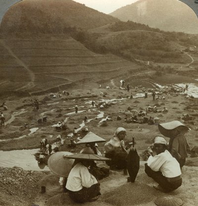 माणिक, मोगोक, बर्मा, c1900s के लिए एक नदी बिस्तर बिछाना। द्वारा अंडरवुड और अंडरवुड