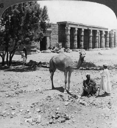 सेठोस I, थेब्स, मिस्र, 1905 के मंदिर के उत्तर की ओर देखना। द्वारा अंडरवुड और अंडरवुड