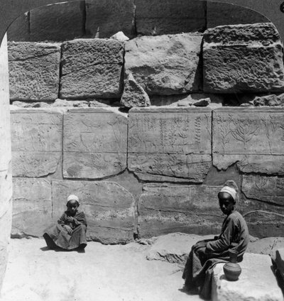 1905 में मिस्र के करनक मंदिर, फिरौन द्वारा सीरिया से लाए गए पौधे और जानवर। द्वारा अंडरवुड और अंडरवुड