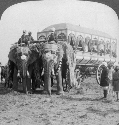 दिल्ली के दरबार, रीवा में महाराजा के महाराजाओं के हाथी और गाड़ियां, 1903 द्वारा अंडरवुड और अंडरवुड