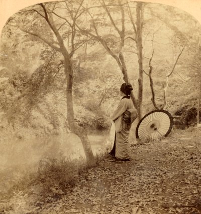 जापान में शरद ऋतु के सुनहरे दिन, 1896। द्वारा अंडरवुड और अंडरवुड