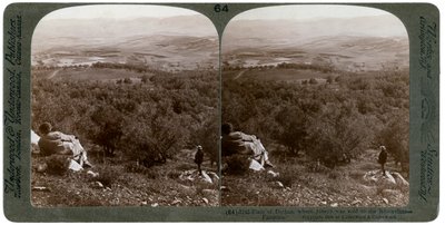 पठान, फिलीस्तीन का मैदान, 1900। द्वारा अंडरवुड और अंडरवुड