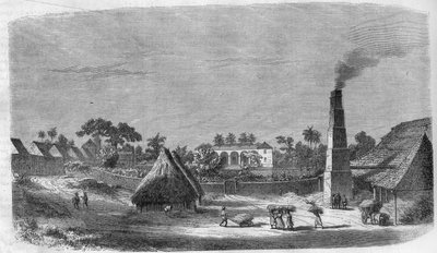 1869 में क्यूबा द्वीप पर एक कैंडी फैक्ट्री। द्वारा अज्ञात कलाकार