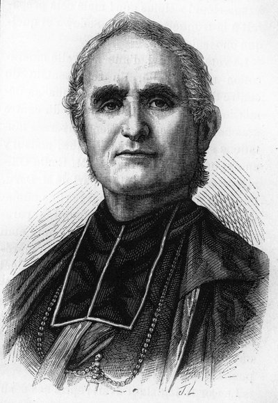 बिशप फेलिक्स डुपनलूप (1802 - 1878), फ्रांसीसी धर्माध्यक्ष, ऑरलियन्स के बिशप द्वारा अज्ञात कलाकार