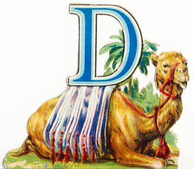 D: Dromedary द्वारा अज्ञात कलाकार