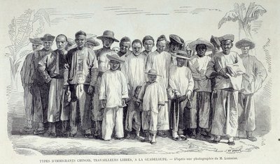 फ्रांसीसी उपनिवेशों का इतिहास: ग्वाडेलोप में काम कर रहे चीनी अप्रवासी। 19वीं सदी के उत्तरार्ध की तस्वीर के बाद आरेखण चार्ट्रेस मुसी डेस बीक्स आर्ट्स द्वारा अज्ञात कलाकार