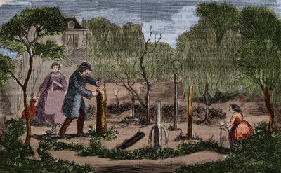 बागवानी: पौध प्रतिरोपण की मुख्य विधियाँ। 1860 उत्कीर्णन। द्वारा अज्ञात कलाकार