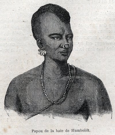 न्यू गिनी (न्यू गिनी) के स्वदेशी लोग: हम्बोल्ट बे के पापुआ। "" ल 'विश्वविद्यालयों के शानदार" में उत्कीर्णन द्वारा अज्ञात कलाकार