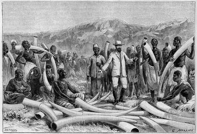 अफ्रीका में हाथी दांत: एमिन पाचा (एडुआर्ड श्निट्जर, जिसे मोहम्मद एमिन पाचा के नाम से जाना जाता है) द्वारा एकत्रित हाथी सुरक्षा द्वारा अज्ञात कलाकार