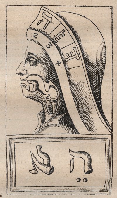 कबला - कबलाले - फ्रांसिस मर्करी वैन हेलमोंट (1618-1699) (फ्रेंकोइस मर्क्योर वैन हेलमोंट) के "" हिब्रू वर्णमाला प्राकृतिक वसंत संक्षिप्त स्केच "(प्रकृति की वर्णमाला) से चित्रण - इस काम में, वैन हेलमोंट ने दावा किया कि प्रत्येक पत्र द्वारा अज्ञात कलाकार