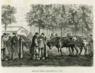 लीवार्डेन (नीदरलैंड) में पशु चलना। एडौर्ड चार्टन (1807-1890), हैचेट, पेरिस द्वारा निर्देशित, ले टूर डू मोंडे 1886 में, एक डच समाचार पत्र के संबंध पर आधारित कहानी ला फ़्रीज़ को चित्रित करने के लिए उत्कीर्णन। द्वारा अज्ञात कलाकार