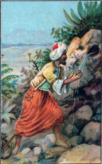 मारुफ का स्रोत है: टेल ऑफ़ मारुफ़ (मारुफ़) सेवर "द हज़ार एंड वन नाइट्स" (1001 नाइट्स या ले मिले ए उना नोट, अरेबियन नाइट्स), 19 वीं शताब्दी के अंत की क्रोमोलिथोग्राफी। द्वारा अज्ञात कलाकार
