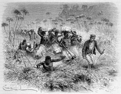 लिविंगस्टोन और उसके कुलियों द्वारा चिसेरा का मार्ग - "" लिविंगस्टोन की अंतिम यात्रा 1866-1873""" राउंड द वर्ल्ड "", दूसरा सेम। १८७५ द्वारा अज्ञात कलाकार