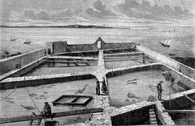 Concarneau में मछली पालन। 1860 से उत्कीर्णन। द्वारा अज्ञात कलाकार