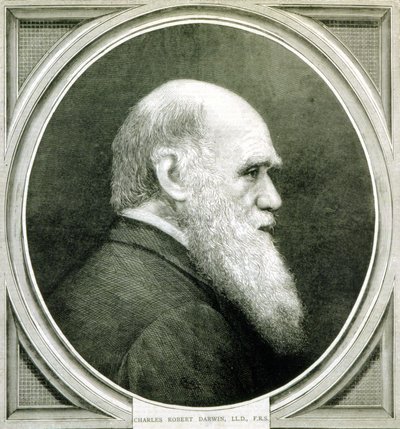 चार्ल्स डार्विन का पोर्ट्रेट (1809 - 1882) द्वारा अज्ञात कलाकार