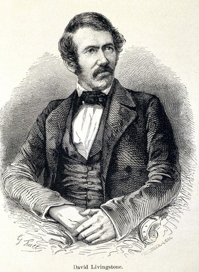 डेविड लिविंगस्टोन का पोर्ट्रेट, स्कॉटिश मिशनरी (1813-1873) द्वारा अज्ञात कलाकार