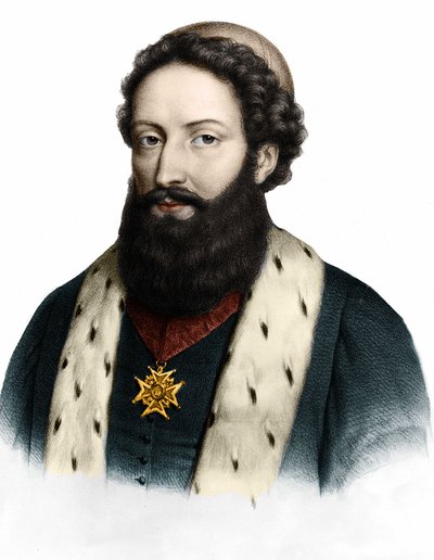 जोसेफ पिटन डी टूर्नेफोर्ट (1656-1708) का पोर्ट्रेट, फ्रांसीसी वनस्पतिशास्त्री। द्वारा अज्ञात कलाकार
