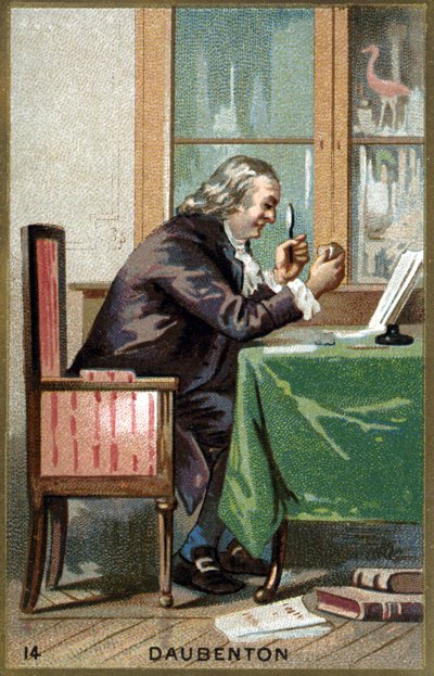 लुई जीन मैरी ड्यूबेंटन का पोर्ट्रेट, डिट ड्यूबेंटन (1716 - 1800), फ्रांसीसी प्रकृतिवादी। 19 वीं शताब्दी की क्रोमोलिथोग्राफी। द्वारा अज्ञात कलाकार