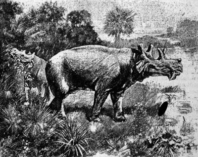 प्रागितिहास: एक चार सींग वाले Uintatherium डायनासोर का प्रतिनिधित्व। द्वारा अज्ञात कलाकार