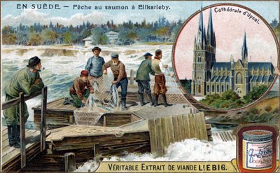 Elfkarleby, स्वीडन में सामन मछली पकड़ना। क्रोमोलिथोग्राफी, लिबिग छवि। द्वारा अज्ञात कलाकार