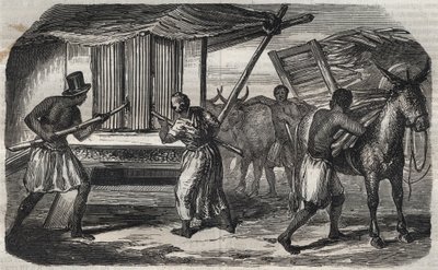 चीनी निर्माण: वेस्ट इंडीज में एक चीनी कारखाने में एक गन्ना मिल। 1859 से उत्कीर्णन। द्वारा अज्ञात कलाकार