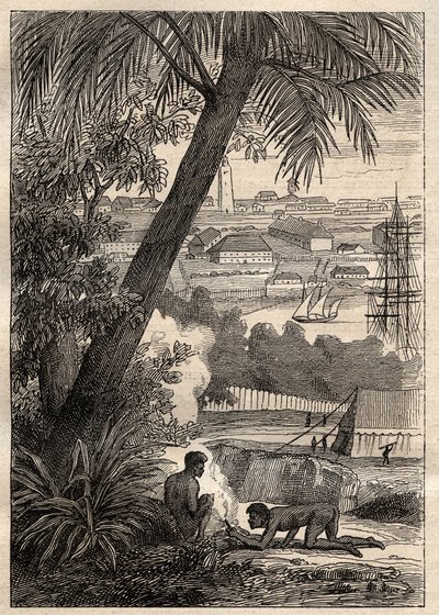 दक्षिणी भूमि के लिए अभियान (1800-1803) निकोलस बौडिन (1754-1803) द्वारा: सिडनी (ऑस्ट्रेलिया) का दृश्य - "18 वीं शताब्दी के महान नाविक" से चित्रण। द्वारा अज्ञात कलाकार