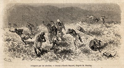 मिसोंघी रोड (पूर्वी अफ्रीका) पर हेनरी मॉर्टन स्टेनली के अभियान (1841-1904) के वाहकों के कारवां पर मधुमक्खियों के एक बादल ने हमला किया था। मध्य अफ्रीका में लिविंगस्टोन की खोज में यात्रा को चित्रित करने के लिए उत्कीर्णन, हेनरी स्टेनली, के संवाददाता द्वारा द्वारा अज्ञात कलाकार