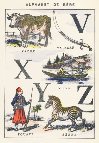 VXYZ: गाय, योल, ज़ूवे, ज़ेबरा द्वारा अज्ञात कलाकार