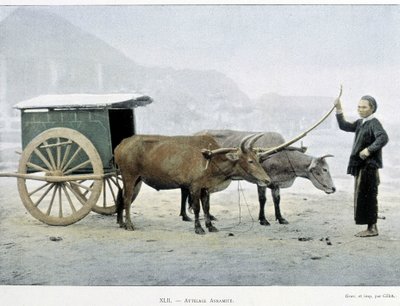 वियतनामी हिच, "" अराउंड द वर्ल्ड", 19वीं सदी के अंत में। द्वारा अज्ञात कलाकार