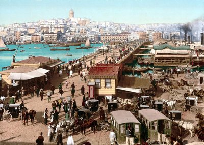 कॉन्स्टेंटिनोपल का दृश्य। फोटोक्रोम वी। 1890। द्वारा अज्ञात कलाकार