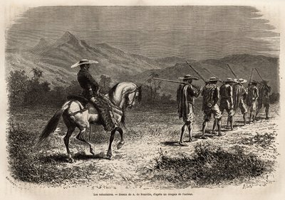 कैली के रास्ते में स्वयंसेवक, पुरुषों की एक लंबी लाइन, जिसके हाथ उनकी पीठ के पीछे बंधे होते हैं, एक दूसरे से रस्सी से जुड़े होते हैं, एक रस्सी जो घोड़े पर एक सैनिक द्वारा पकड़ी जाती है, जो उन्हें एक सैन्य प्रशिक्षण शिविर में ले जाती है। न्यू ग्रास की यात्र द्वारा अज्ञात कलाकार