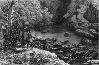 अफ्रीका में ज़ूलौलैंड: क्योंकि जंगल आवश्यक संसाधनों की पेशकश नहीं करते हैं, ज़ुलु जनजाति उन मैदानों में जाने के लिए बाध्य है जहां वे खेती करते हैं और मवेशी पालते हैं। "" ला नेचर "" में उत्कीर्णन द्वारा अज्ञात कलाकार