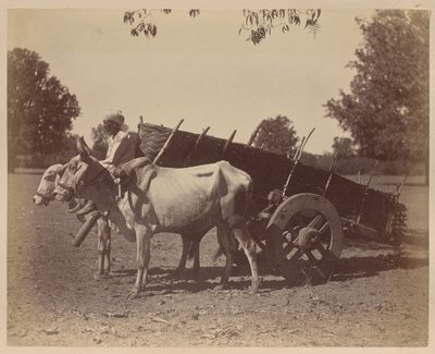  द्वारा अज्ञात कलाकार