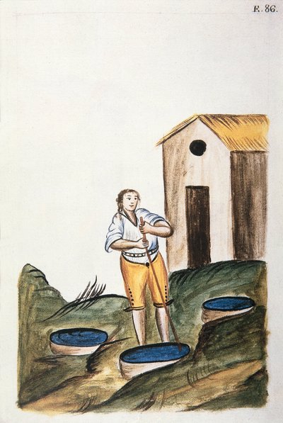 ट्रुजिलो के बिशप (1782-1785) बाल्टाज़ार मार्टिनेज कॉम्पैनोन वाई बुजांडा द्वारा "ट्रूजिलो डेल पेरू" या "कोडिस मार्टिनेज कॉम्पैनोन" पुस्तक से ऊन को डाई करने के लिए इस्तेमाल किया जाने वाला ब्लू डाई ट्रे द्वारा अज्ञात कलाकार