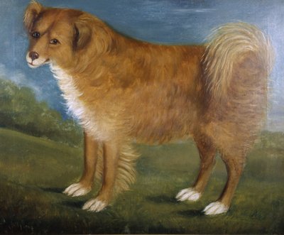 भूदृश्य में भूरा कुत्ता, c.1850 (कैनवास पर तेल) द्वारा अज्ञात कलाकार