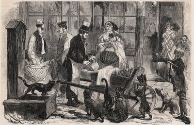लंदन के वेस्टमिंस्टर जिले में एक सड़क पर बिल्ली का मांस आदमी (बिल्ली का मांस-आदमी), कुत्तों और बिल्लियों के लिए घोड़े के मांस का एक व्यापारी - "द इलस्ट्रस वर्ल्ड" में उत्कीर्णन द्वारा अज्ञात कलाकार