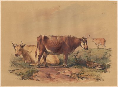  द्वारा अज्ञात कलाकार
