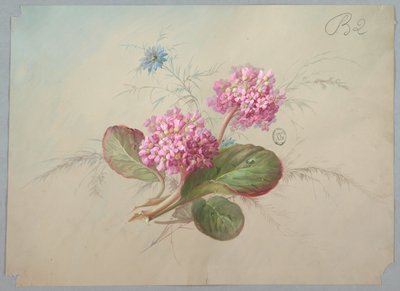 वॉलपेपर और वस्त्र के लिए डिज़ाइन: फूल द्वारा Unknown artist