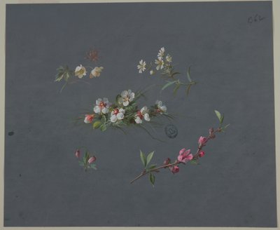 वॉलपेपर और वस्त्रों के लिए डिज़ाइन: फूल द्वारा Unknown artist