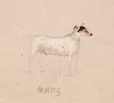  द्वारा अज्ञात कलाकार