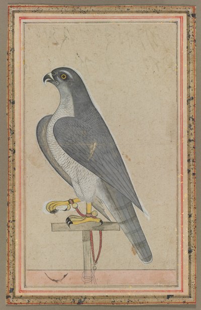  द्वारा अज्ञात कलाकार