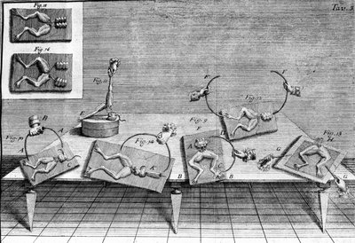 लुइगी गलवानी, इतालवी भौतिक विज्ञानी और चिकित्सक (1737 - 1798) द्वारा एक मेंढक के पैरों को हिलाने वाले विद्युत प्रवाह के मार्ग की व्याख्या करते हुए प्रयोगों का चित्रण। द्वारा अज्ञात कलाकार