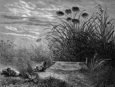 मासौंबो में: लिविंगस्टोन मॉस्किटो नेट - "" लिविंगस्टोन की अंतिम यात्रा 1866-1873"" में "" टूर डू मोंडे "", दूसरा सेम। 1875 द्वारा अज्ञात कलाकार