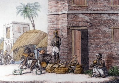 इंडियन कल्चर एंड सिविलाइज़ेशन: स्नेक चार्मर्स इन इंडिया। द्वारा अज्ञात कलाकार