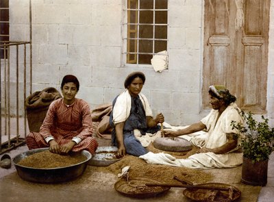 जेरूसलम में गेहूं की ढलाई करते किसान। फोटोक्रोम एसडी। 1890-1900 के बीच। द्वारा अज्ञात कलाकार