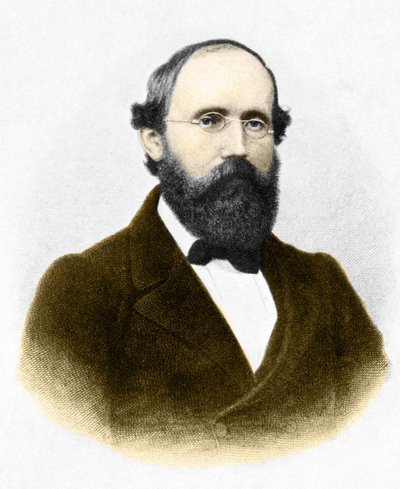 बर्नहार्ड रीमैन का पोर्ट्रेट (1826-1866।) जर्मन गणितज्ञ द्वारा अज्ञात कलाकार