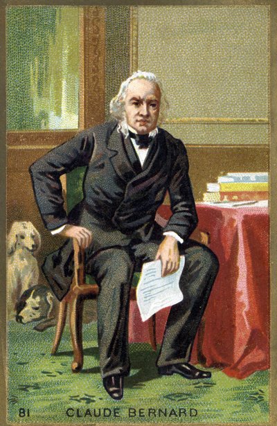 क्लाउड बर्नार्ड का पोर्ट्रेट (1813 - 1878), फ्रांसीसी शरीर विज्ञानी। 19 वीं शताब्दी की क्रोमोलिथोग्राफी। द्वारा अज्ञात कलाकार