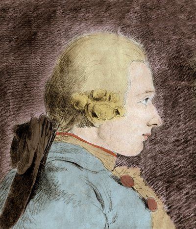 डोनेटियन अल्फोंस फ्रेंकोइस डी साडे (1740-1814) (मारक्विस डी साडे) का पोर्ट्रेट - वैन लू के बाद द्वारा अज्ञात कलाकार