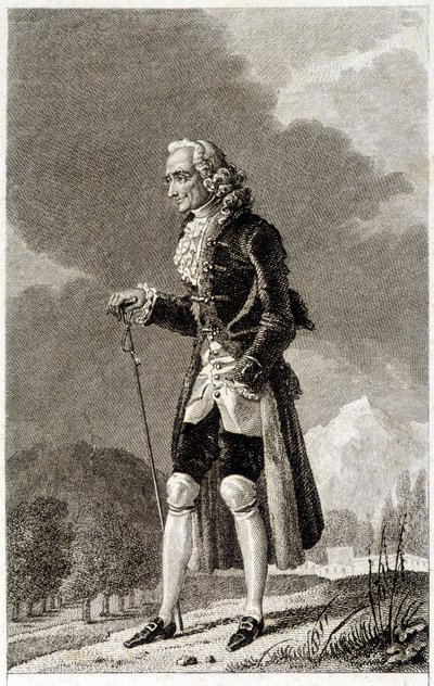 वोल्टेयर का पोर्ट्रेट (1694 - 1778), फ्रांसीसी लेखक और दार्शनिक, बुजुर्ग। द्वारा अज्ञात कलाकार