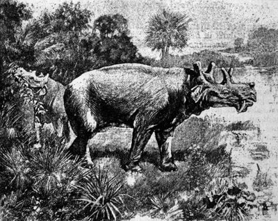 प्रागितिहास: एक चार सींग वाले Uintatherium डायनासोर का प्रतिनिधित्व। द्वारा अज्ञात कलाकार